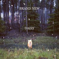 Brand New : Daisy